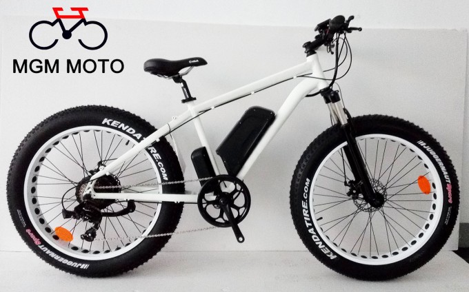 Beach Cruiser 48V 500W Big Power Fat Tire Mountain Electric Bike Image1