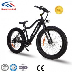 250-350W Brushless Motor Fat Electric Bike