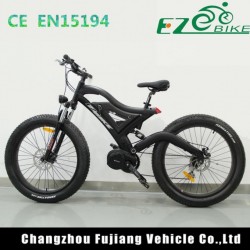 Green Power MID Drive Electric Bike with Full Suspension Fork