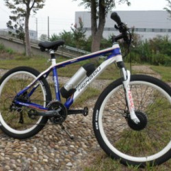 Full Suspension 36V 250W Bottle Battery Mountain E Bike with 8 Fun Motor with Ce Approval