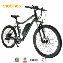 Suspension 48V 500W Hub Motor Electric Mountain Bike Electric Bicycle