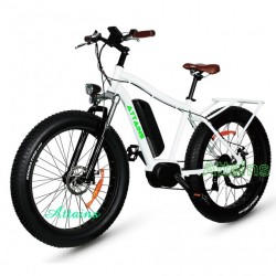48V 1000W Fat Tire S