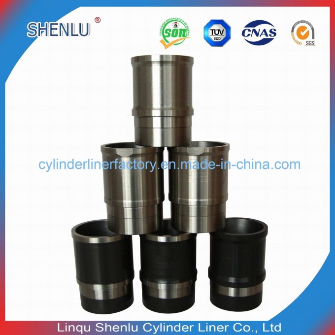 27 Year Professional Manufacturer for Engine Parts Used for Motor Bicycle/Auto/Automobile/Car/Tracto Image1