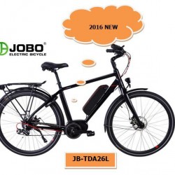 Lithium Ion Battery E-Bicycle with High Level Parts