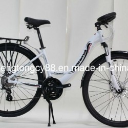 Europe Model Mountain Bicycle with Alloy Parts MTB-028
