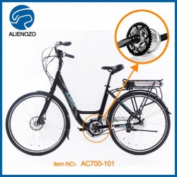 Motor Part Electric Bike Conversion Kits for Lady