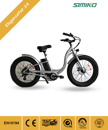 Elegance Fat Electric Bike with Front Basket Bicycle Parts Image1