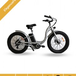 Elegance Fat Electric Bike with Front Basket Bicycle Parts