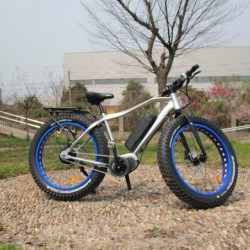 2017 4.0 Inch Fat Tire 500W 48V New Design MID Drive Bottle Battery Electric Bike Parts Bicycle Moto