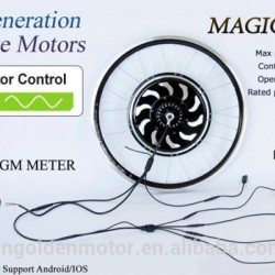 Golden Motor Magic Pie Series Ebike Conversion Part 1000W