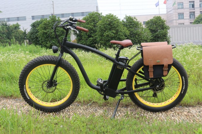 Manufacturer OEM Electric Bike with Optional Specs Parts Image1