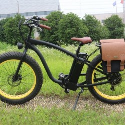 Manufacturer OEM Electric Bike with Optional Specs Parts