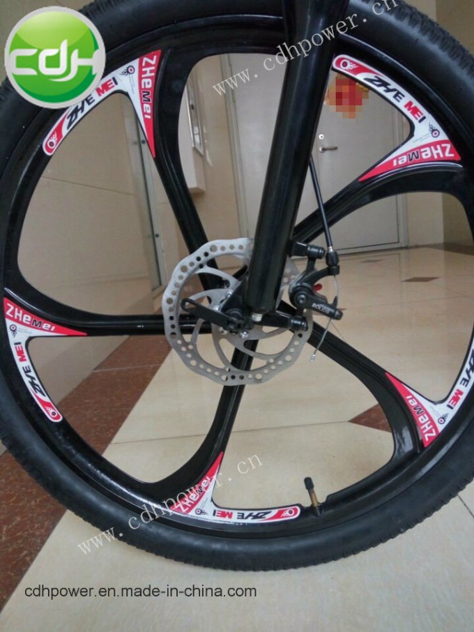 Bicycle Wheels/Motorized Bicycle Spare Parts Image1