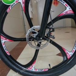 Bicycle Wheels/Motor