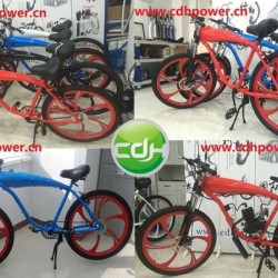 Motorized Bicycle Pa