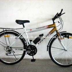Africa Model Bicycle with ED Parts (SH-MTB092)