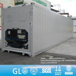 20′ 40′ Used Reefer Container with Carrier Refrigerator