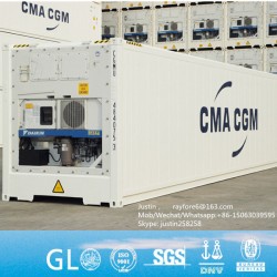 20 FT New Reefer/Refrigerated Shipping Containers in Qingdao for Sale