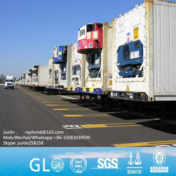 10FT 20FT 40FT Refrigerated Cargo Containers / Chiller Container Image1