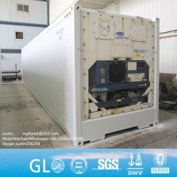 Cw Good Condition Used Refrigerated 20′ Reefer Container for Sale
