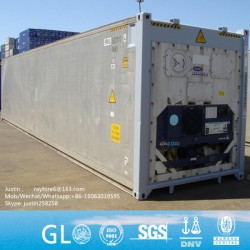 Wuhan Chongqing Lianyungang Second Hand 10FT 20FT 40FT Used Reefer Container at Cheap Prices