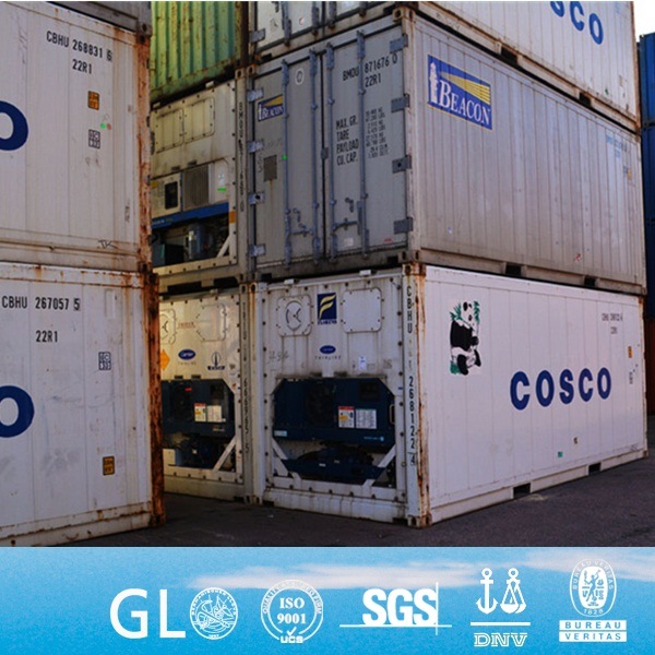 Argentina Aruba Bolivia Bonaire Brazil Chile Colombia Curacao Refrigerated Container for Sale Image1