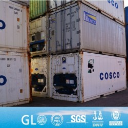 Argentina Aruba Bolivia Bonaire Brazil Chile Colombia Curacao Refrigerated Container for Sale