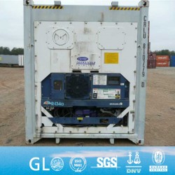 Angola Burundi Benin Botswana Central Africa Congo Cameroon Algeria Egypt Ethiopia Reefer Container 