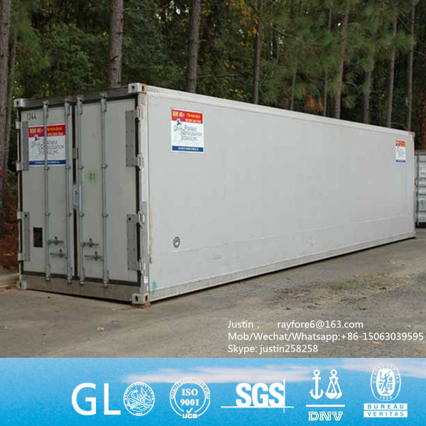 Pti Csc Certifieed 40 Feet Freezer Container, Blast Freezer Container, 40FT Reefer Container Image1