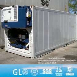 Csc Certified Africa Mauritius Cargo Worthy Condition Used 20FT Reefer Container