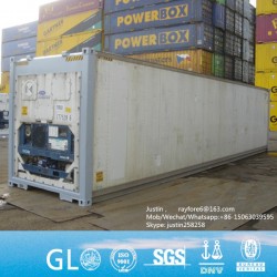 White New Used Daikin / Carrier / Thermo King Genset Reefer Container Cold Container