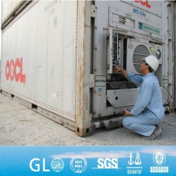 Philippines Vietnam Laos Cambodia Myanmar Csc Pti Used Reefer Container for Sale in China