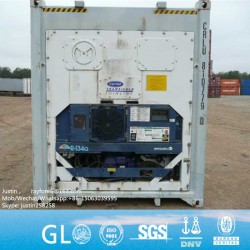 Africa South America Old Reefer Container on Sale for Frozen Chicken Stock