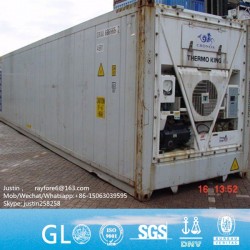 Philippines Vietnam Laos Cambodia Myanmar 20 FT New Reefer/Refrigerated Shipping Containers in Qingd