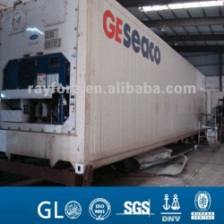 Carrier Engine Used Referigated Reefer Food Container (40RH)
