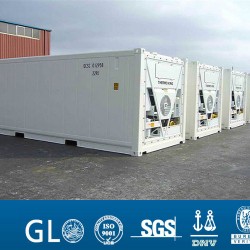 Good Sale Repaint Reefer/Referigerated Container with Referigerated Unit for Sale