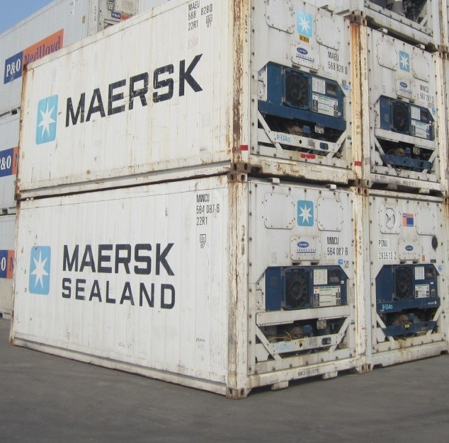 Hot Sale Used Reefer/ Refrigeranted Container 20ft Image1