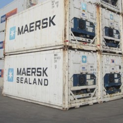 Hot Sale Used Reefer/ Refrigeranted Container 20ft