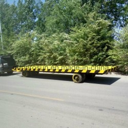 10 Tons Super Low Platform Trailers