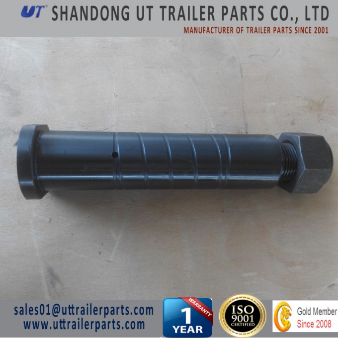 Equalizer Pin BPW Suspension Parts for Trailer and Truck Image1