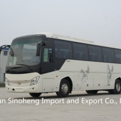 Hot Sale 12m Shaolin