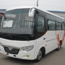 6m Passenger Bus
