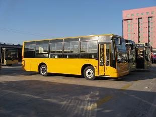 6-11m Buses Image1