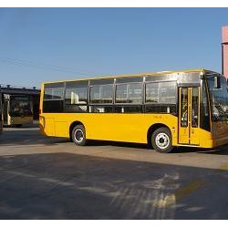 6-11m Buses