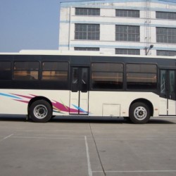 8m City Bus