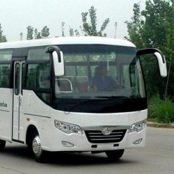 19 Seat Bus (6-8m Passenger Bus)