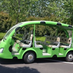 Beetle Liked Cute Electric Tourist Car for Loading 23 Persons
