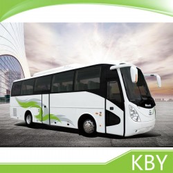 6118EV9 Pure Electrical Passenger Vehicles