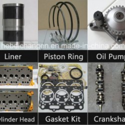 Original Engine Parts for Chang an, Yutong, Higer Bus