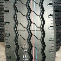 Radial Truck and Bus